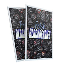 Fresh Blackberries 24