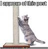 Click image for larger version

Name:	cats17.jpg
Views:	10
Size:	13.5 KB
ID:	12806