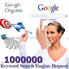 30000 Website Requests directly from Google Search Engine - Organic Traffic picture