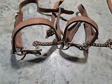 Lot of 2 Vintage Cow Show Leading Halters - Leather picture
