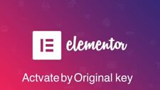 I will Install Elementor Pro &Prime Slider Pro Activate by key 100% Satisfaction picture