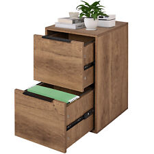 2 drawer wooden file cabinet picture