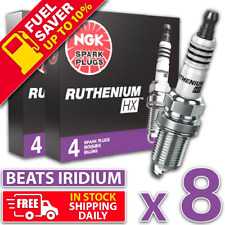 8 x Ruthenium for Holden 6.0L L76 V8 SS Thunder Cross 8 SV8 Berlina Iridium+ picture